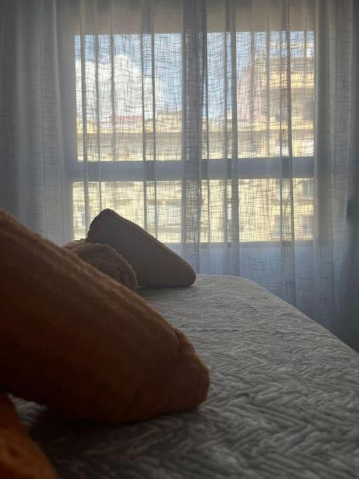 Apartamento Medina Azahara コルドバ エクステリア 写真